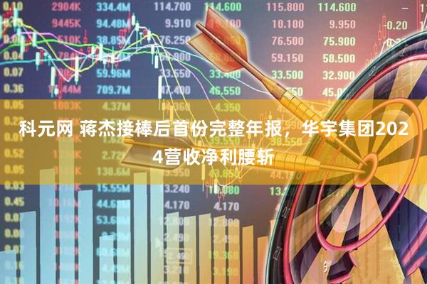 科元网 蒋杰接棒后首份完整年报，华宇集团2024营收净利腰斩